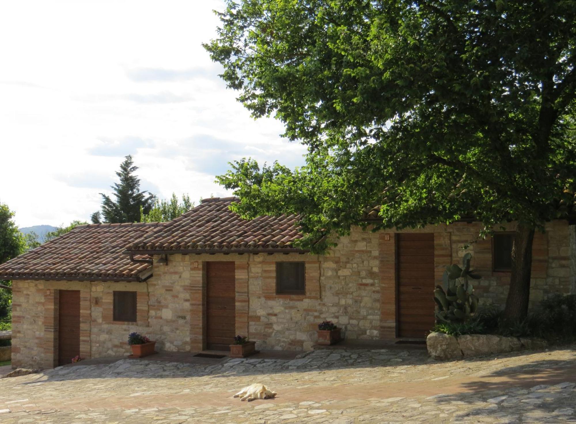 Agriturismo Casale Delle Lucrezie Todi Exterior photo